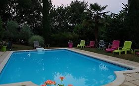studio Côté Sud vert